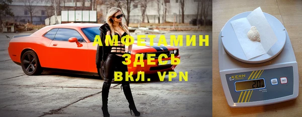 винт Сатка