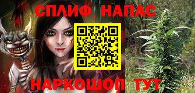 шишки Заводоуковск