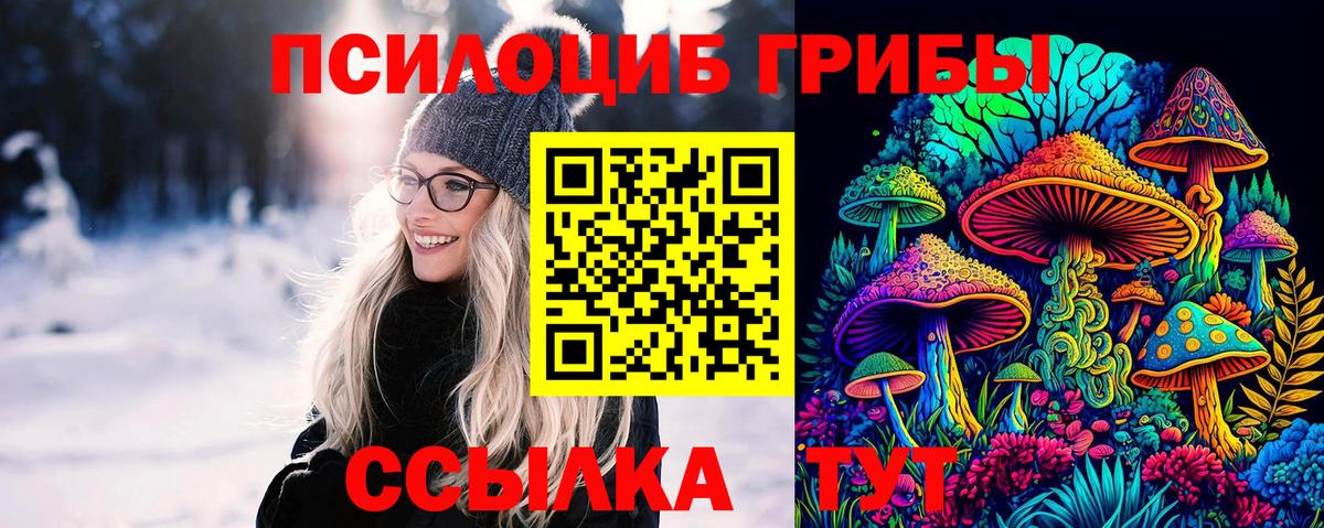 Галлюциногенные грибы Magic Shrooms  Вход с VPN  Михайловск 
