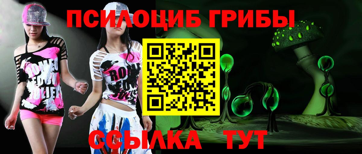 Псилоцибиновые грибы Psilocybe Михайловск